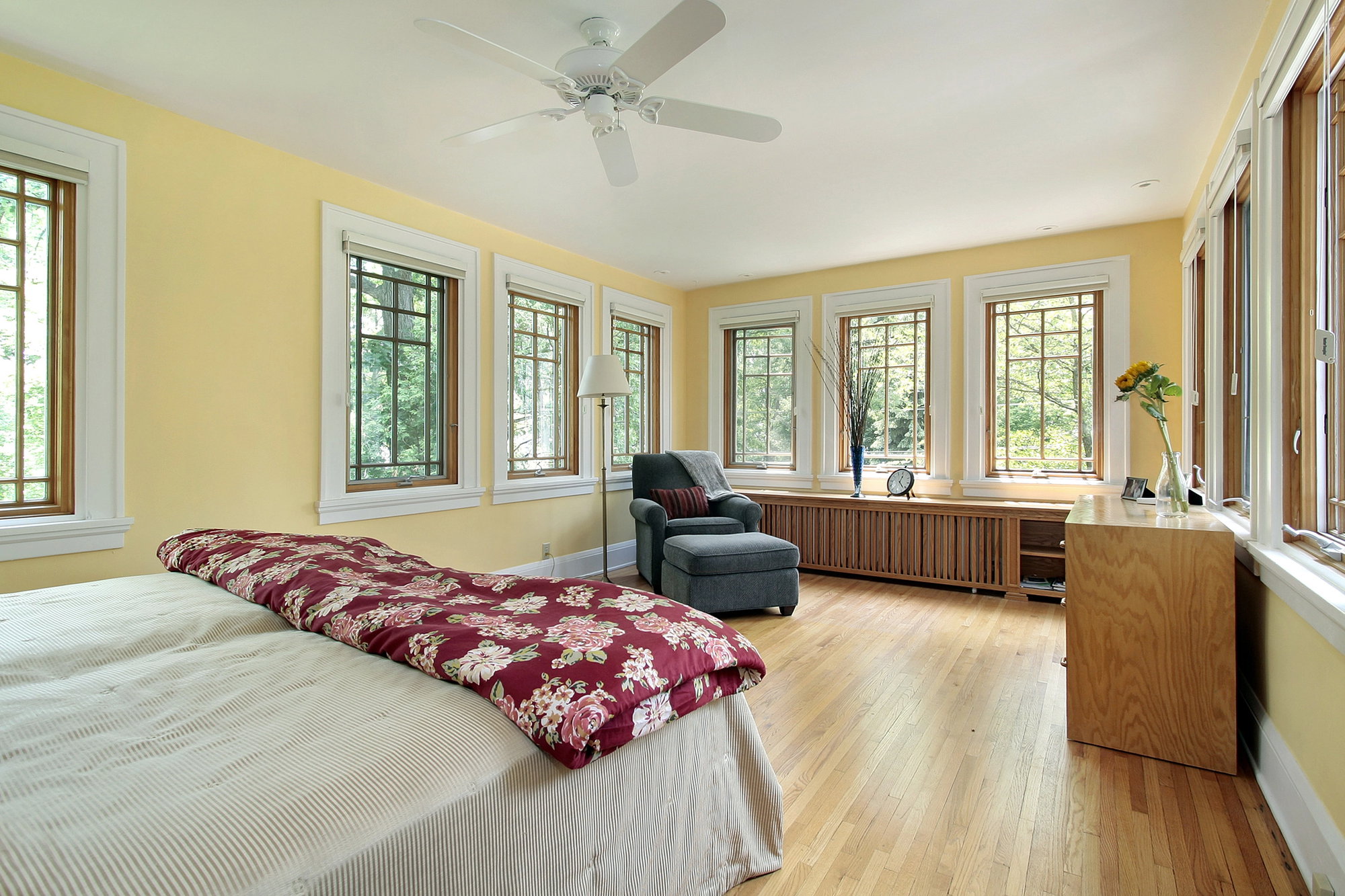 Depositphotos-8728531-L.jpg
